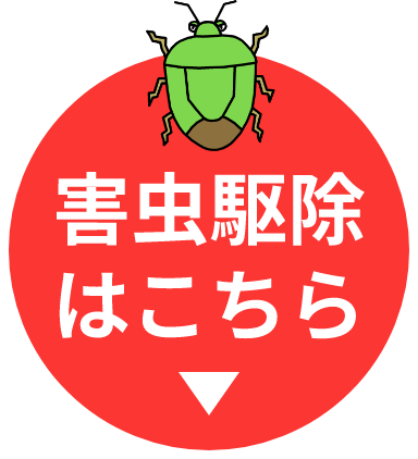 害虫駆除はこちらをクリック